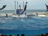 img0076.jpg
