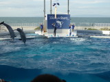 img0078.jpg