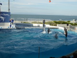 img0079.jpg
