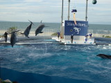 img0082.jpg
