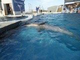 img0083.jpg