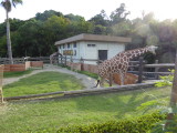 img0084.jpg