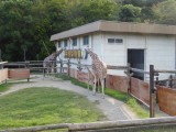img0086.jpg