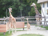 img0091.jpg