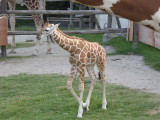 img0092.jpg