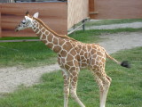 img0093.jpg