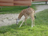 img0094.jpg