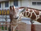 img0095.jpg