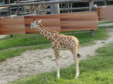 img0098.jpg