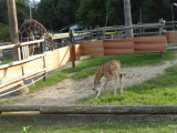 img0099.jpg