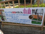 img0102.jpg
