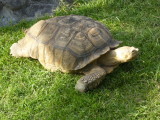 img0104.jpg