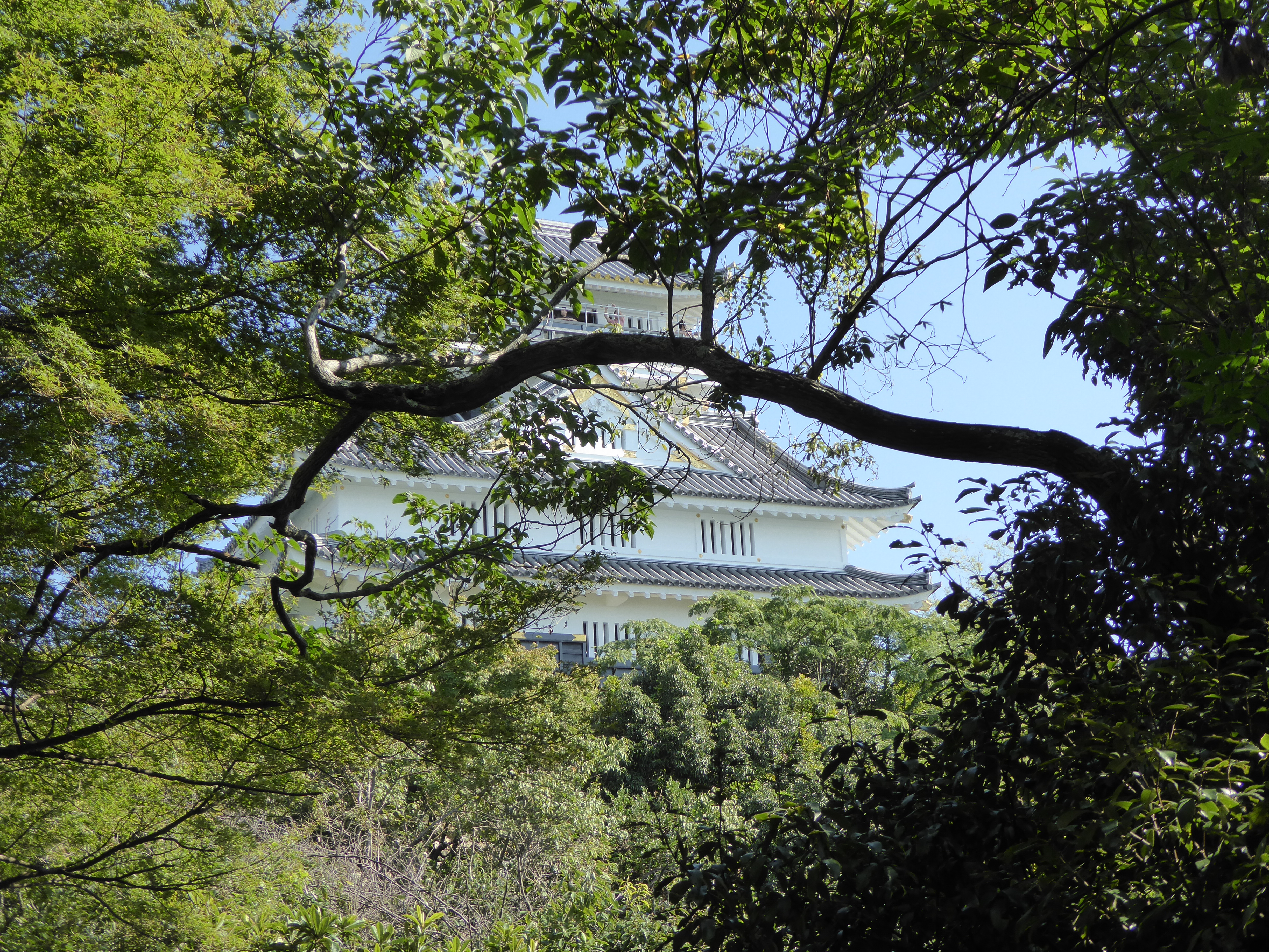 P1040091.JPG
