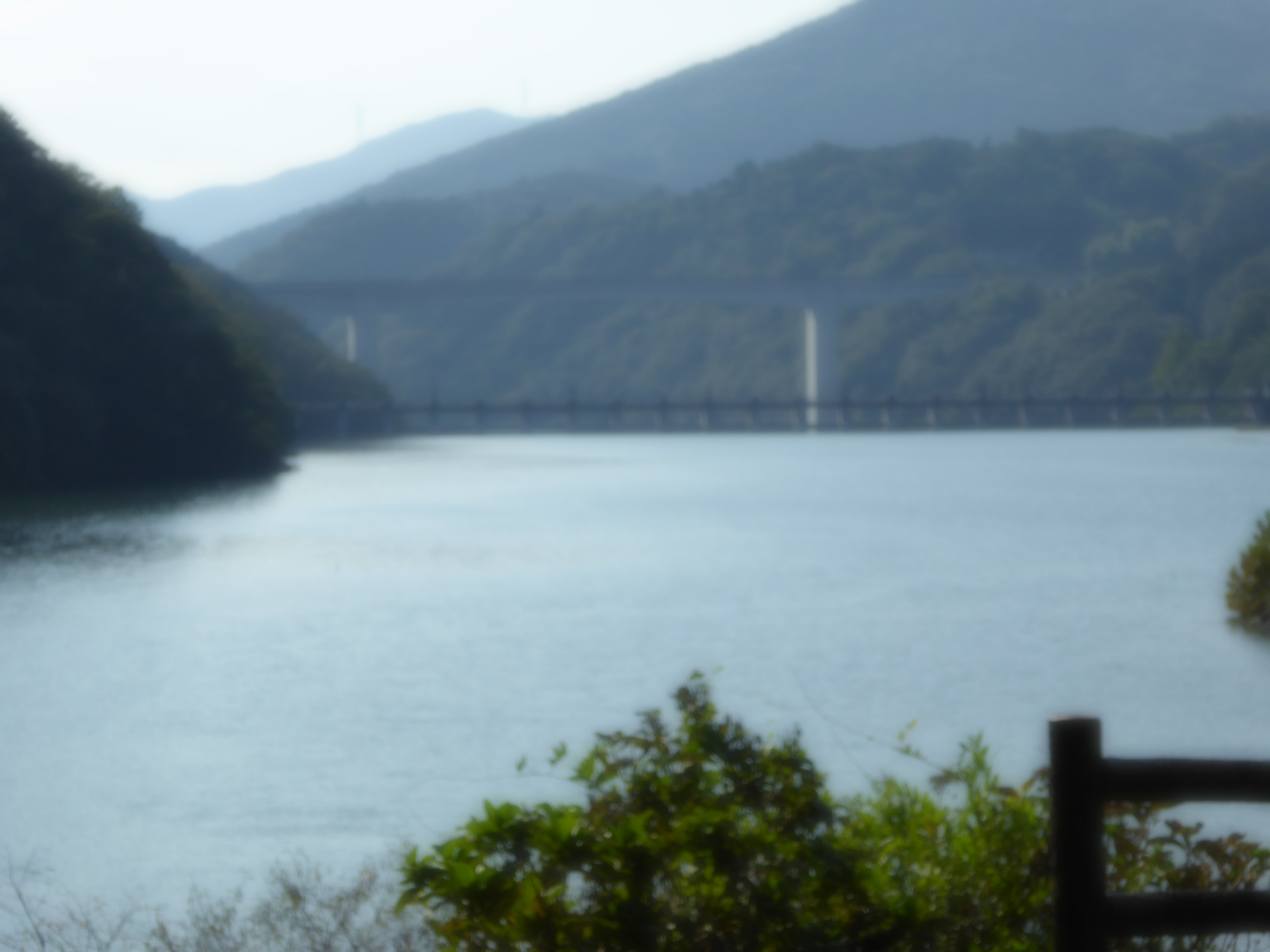 P1040129.JPG
