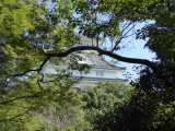 img0009.jpg