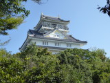 img0010.jpg