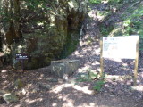 img0021.jpg