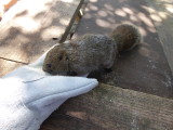 img0026.jpg