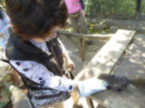 img0027.jpg