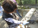 img0028.jpg