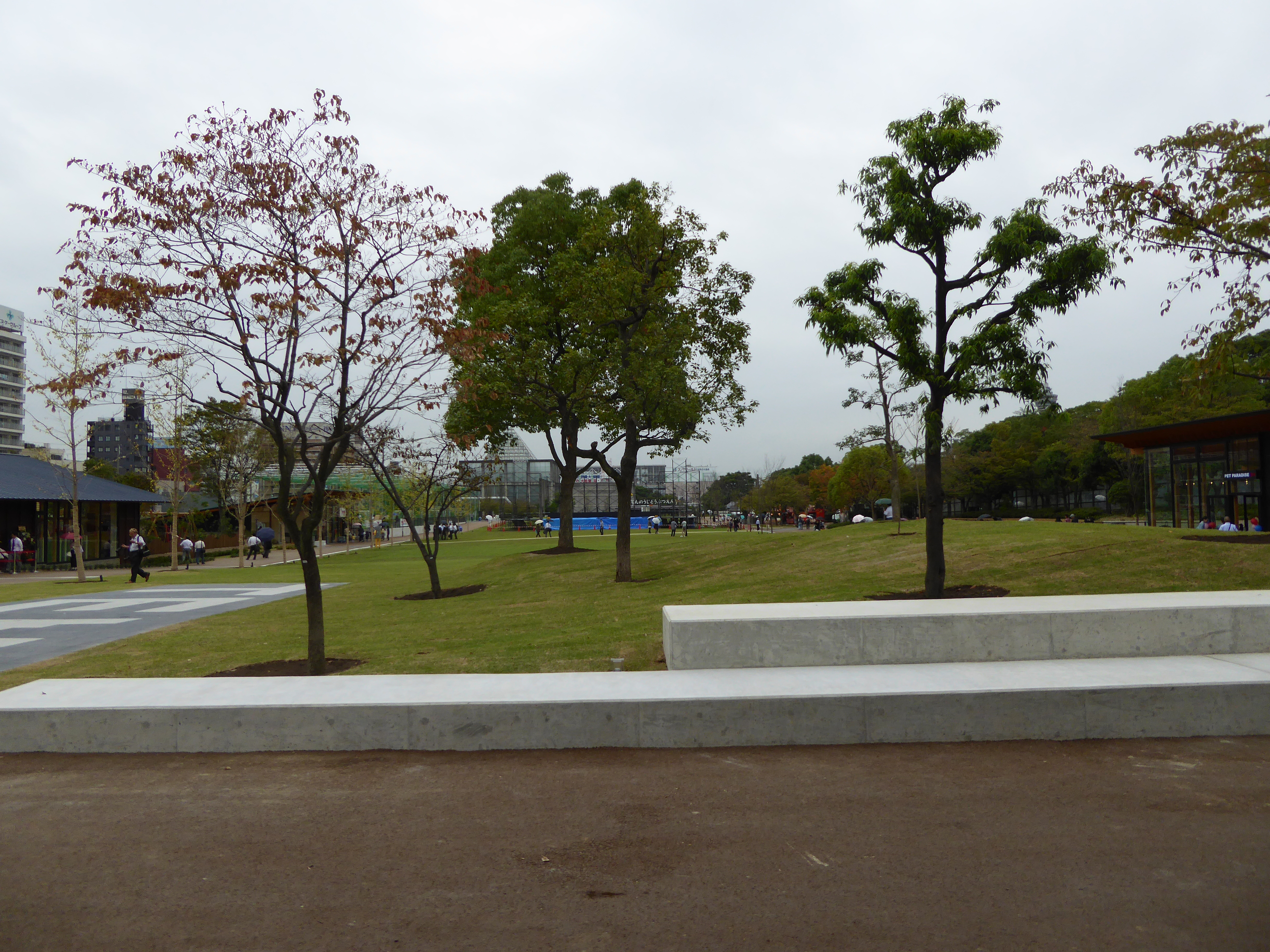 P1040200.JPG