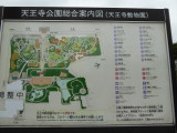 img0010.jpg