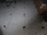img0003.jpg