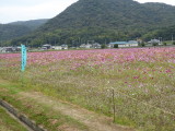 img0000.jpg