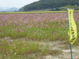 img0001.jpg