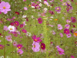img0002.jpg