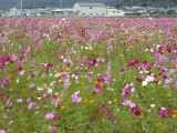 img0005.jpg