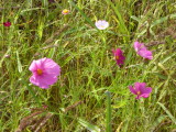 img0014.jpg