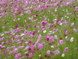 img0016.jpg