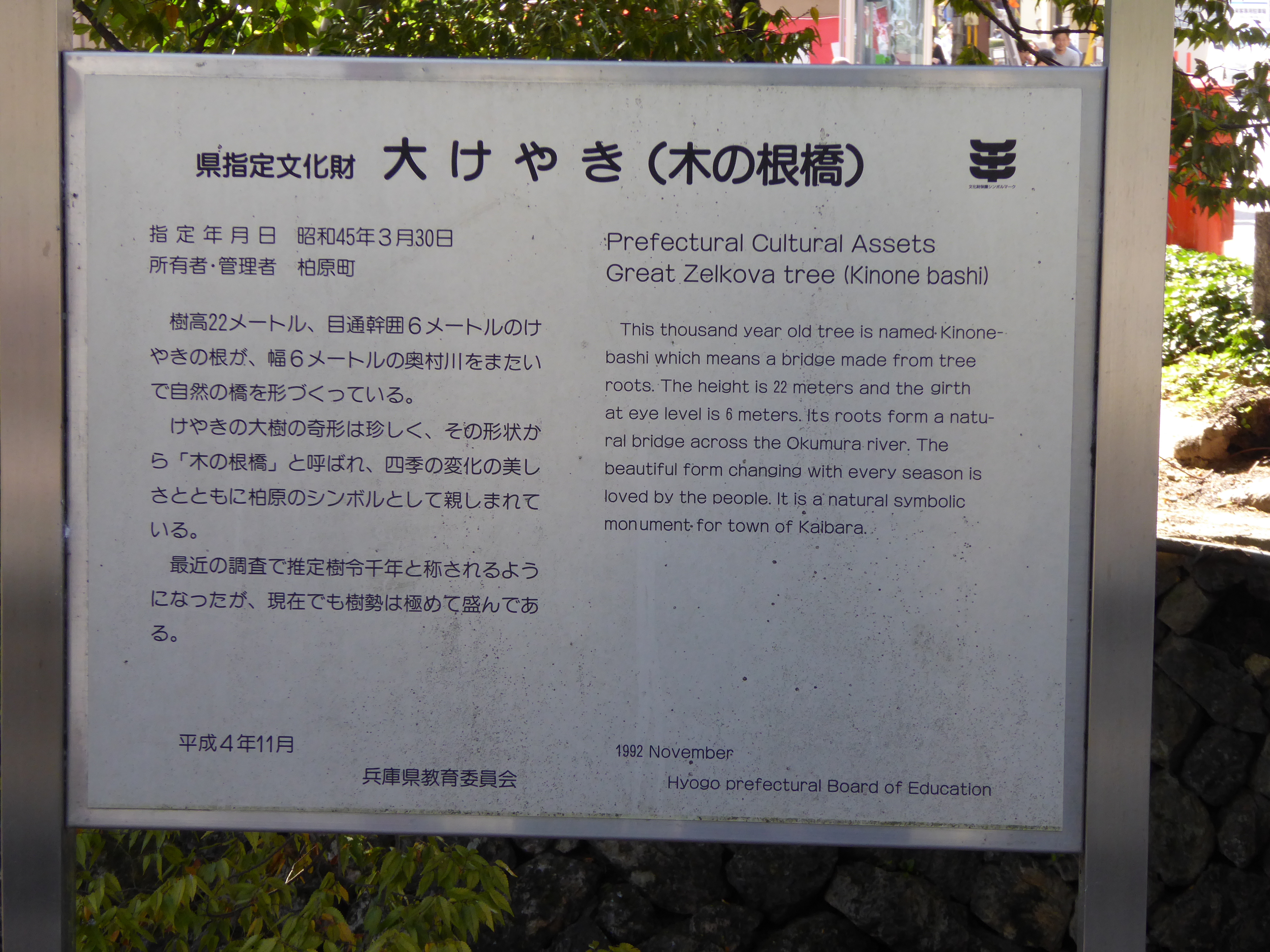 P1040247.JPG