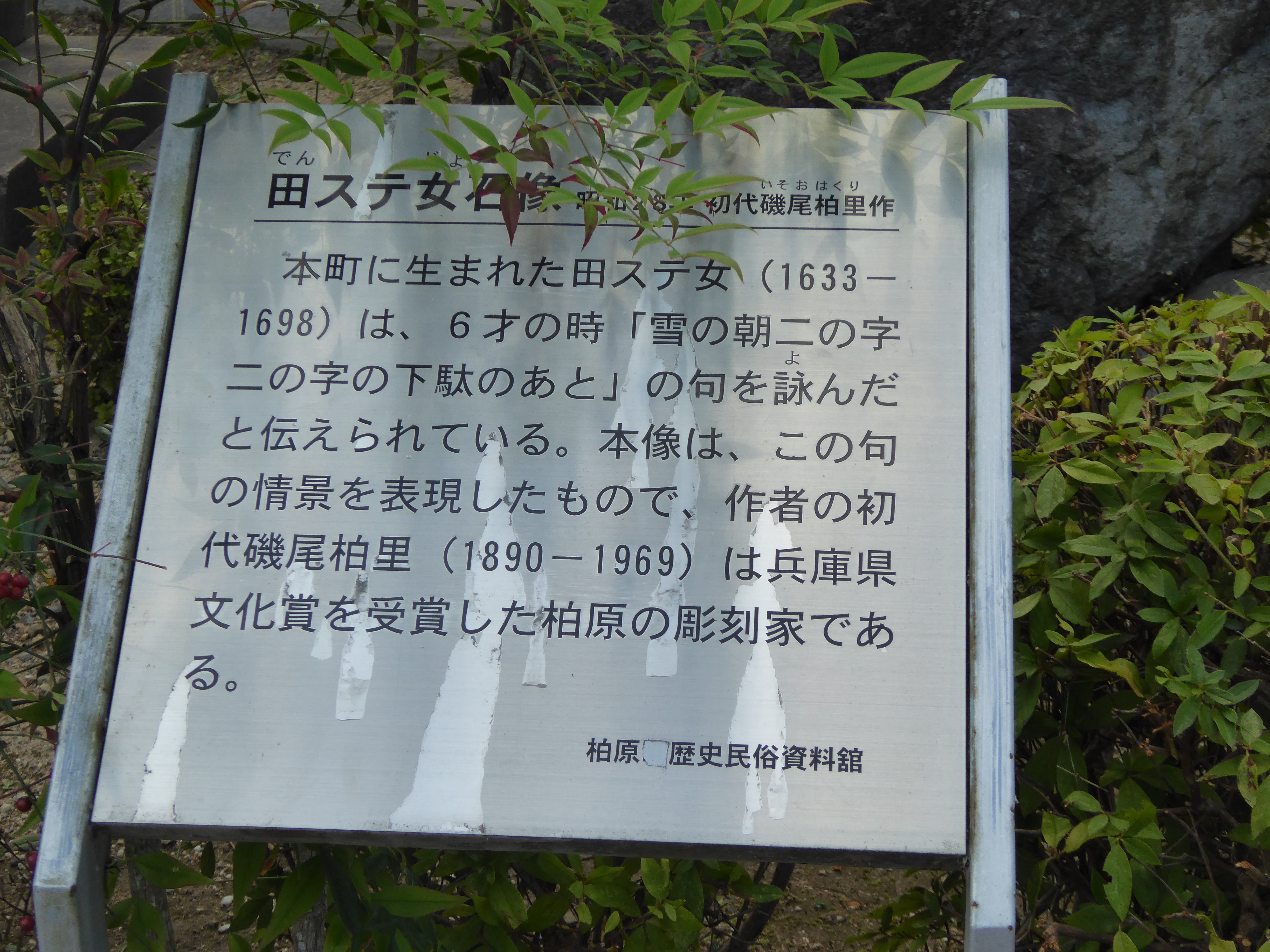 P1040258.JPG