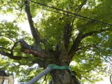 img0001.jpg