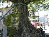 img0002.jpg