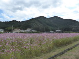 img0018.jpg