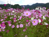 img0020.jpg