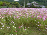 img0021.jpg