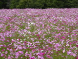 img0022.jpg