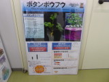 img0000.jpg