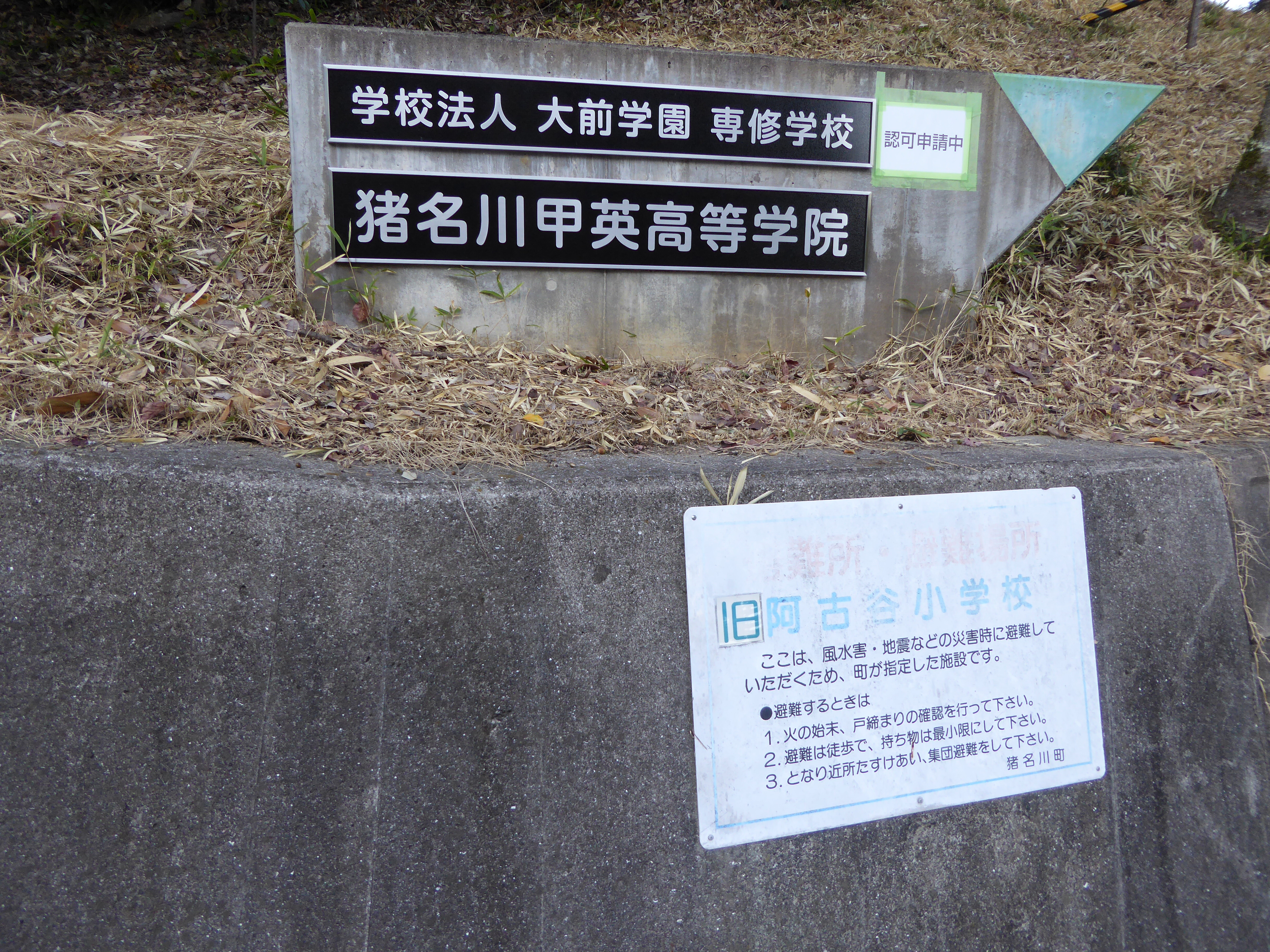 P1040293.JPG
