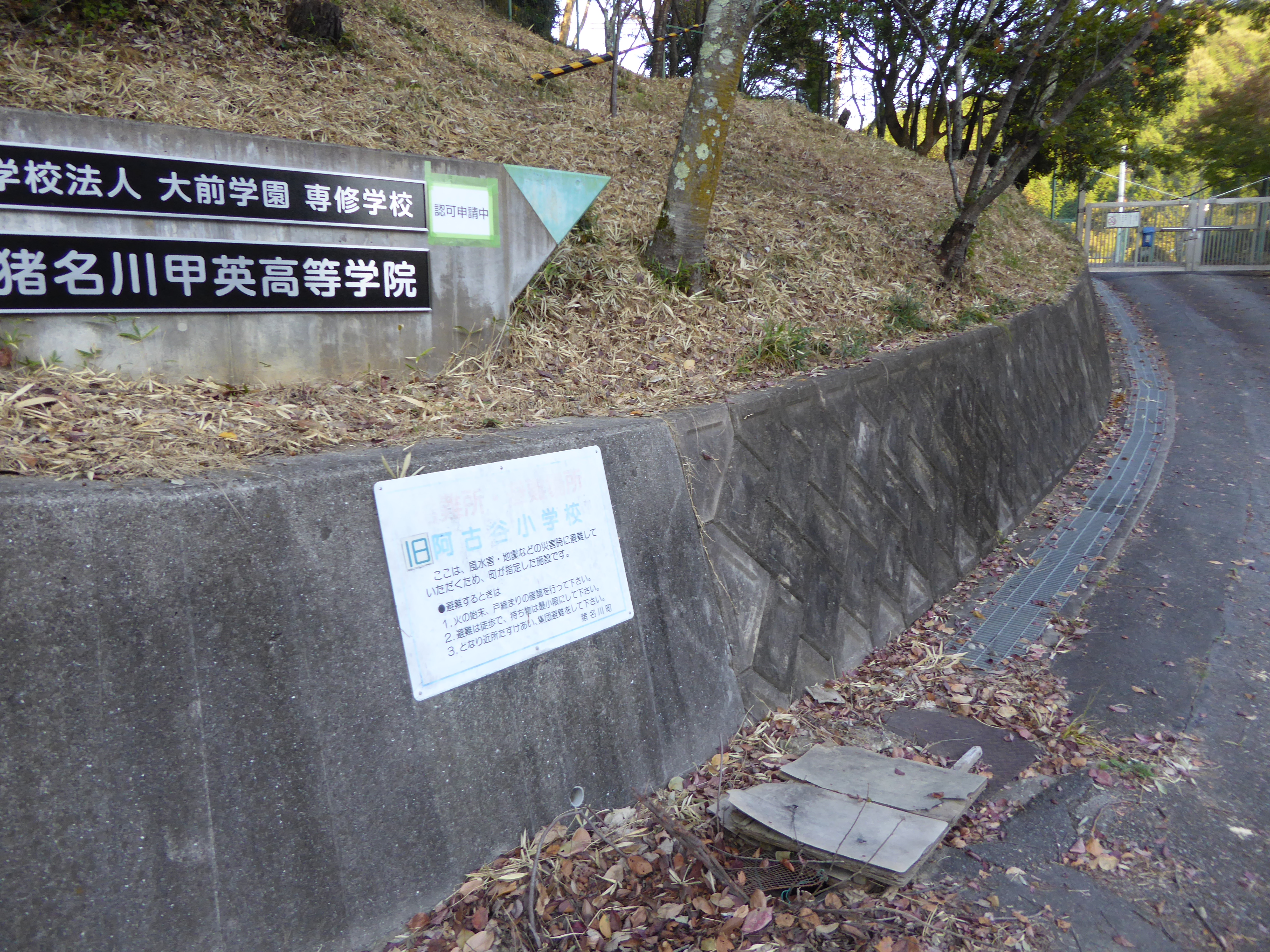 P1040294.JPG