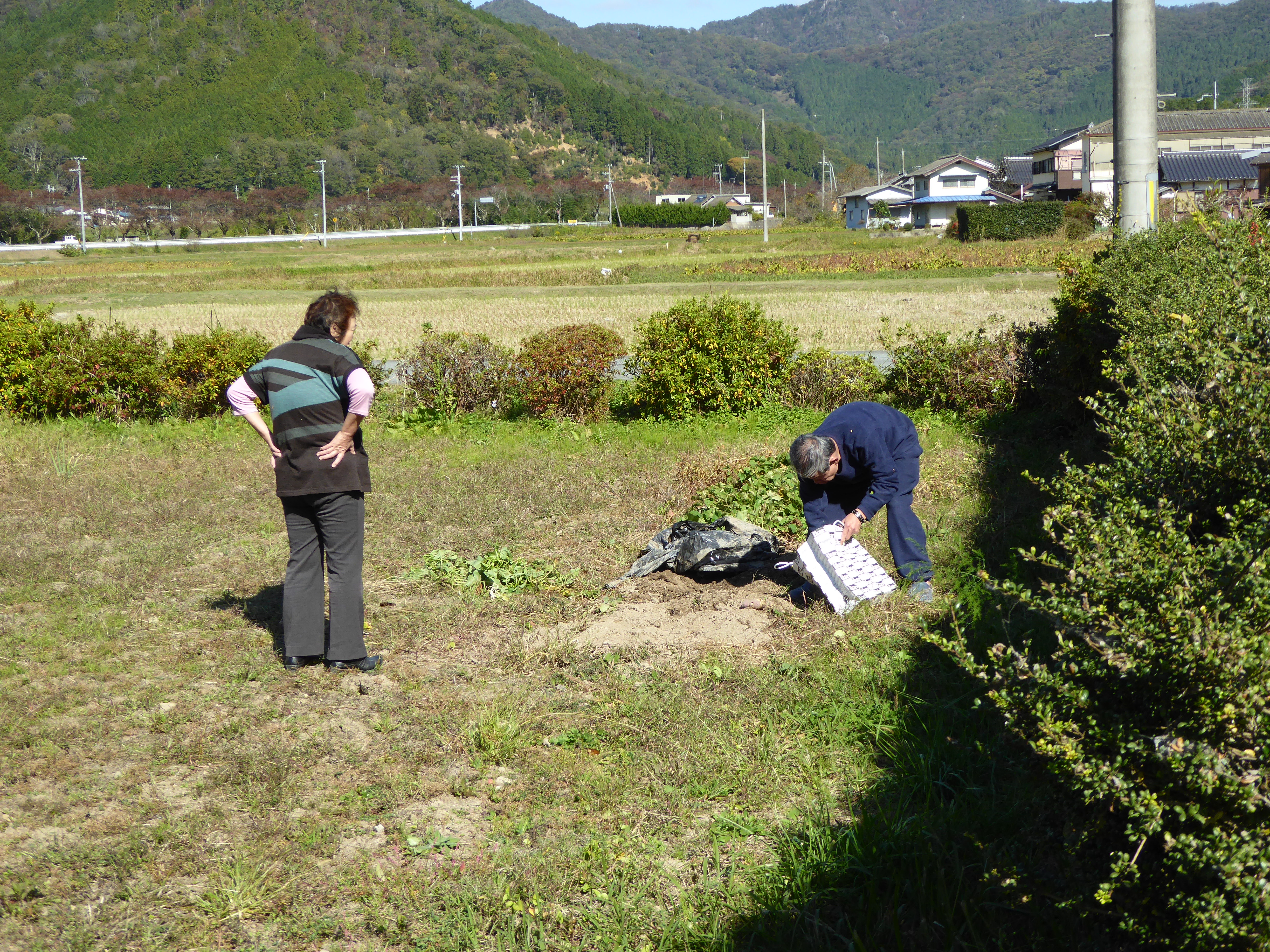 P1040524.JPG