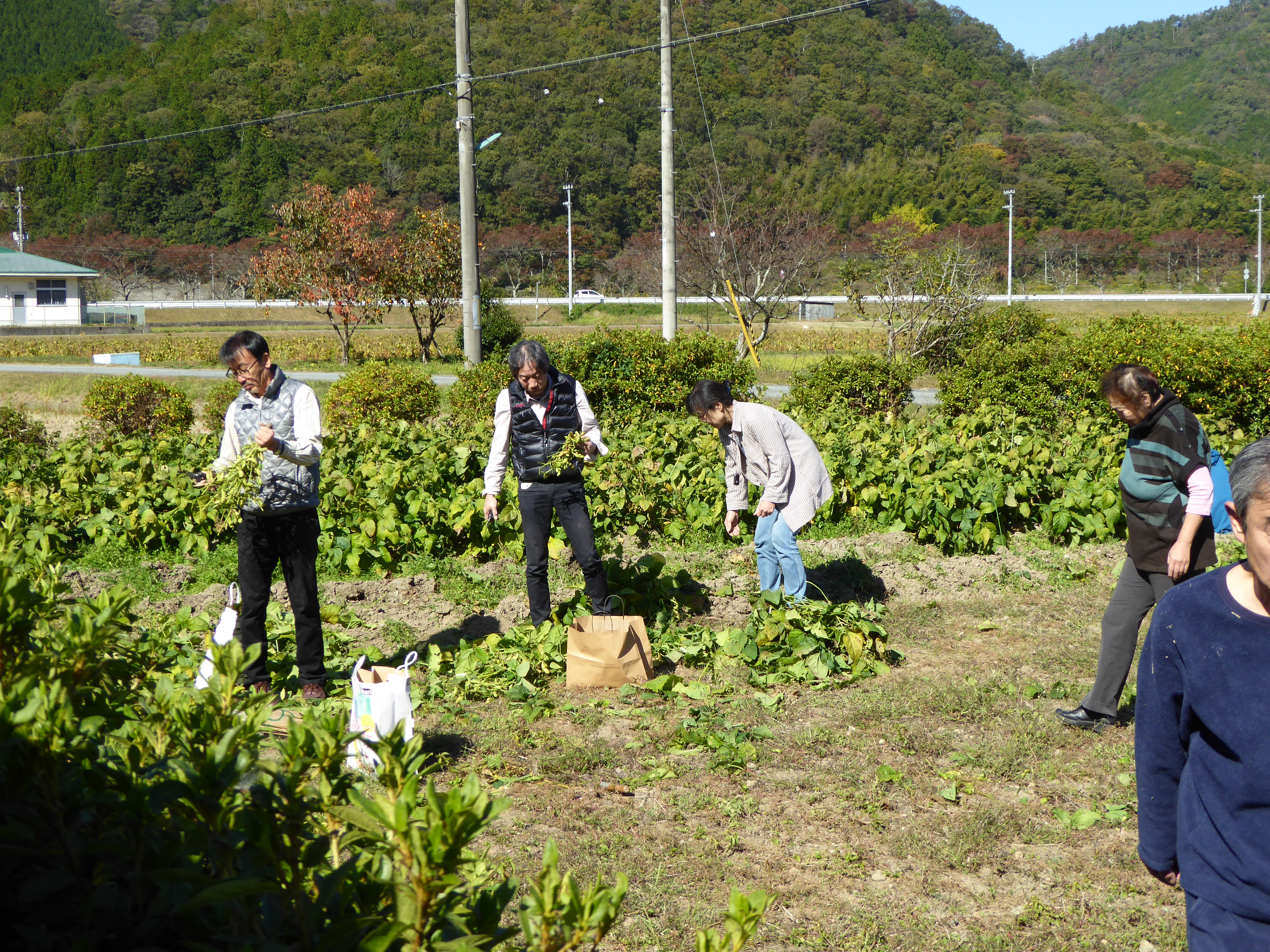 P1040527.JPG