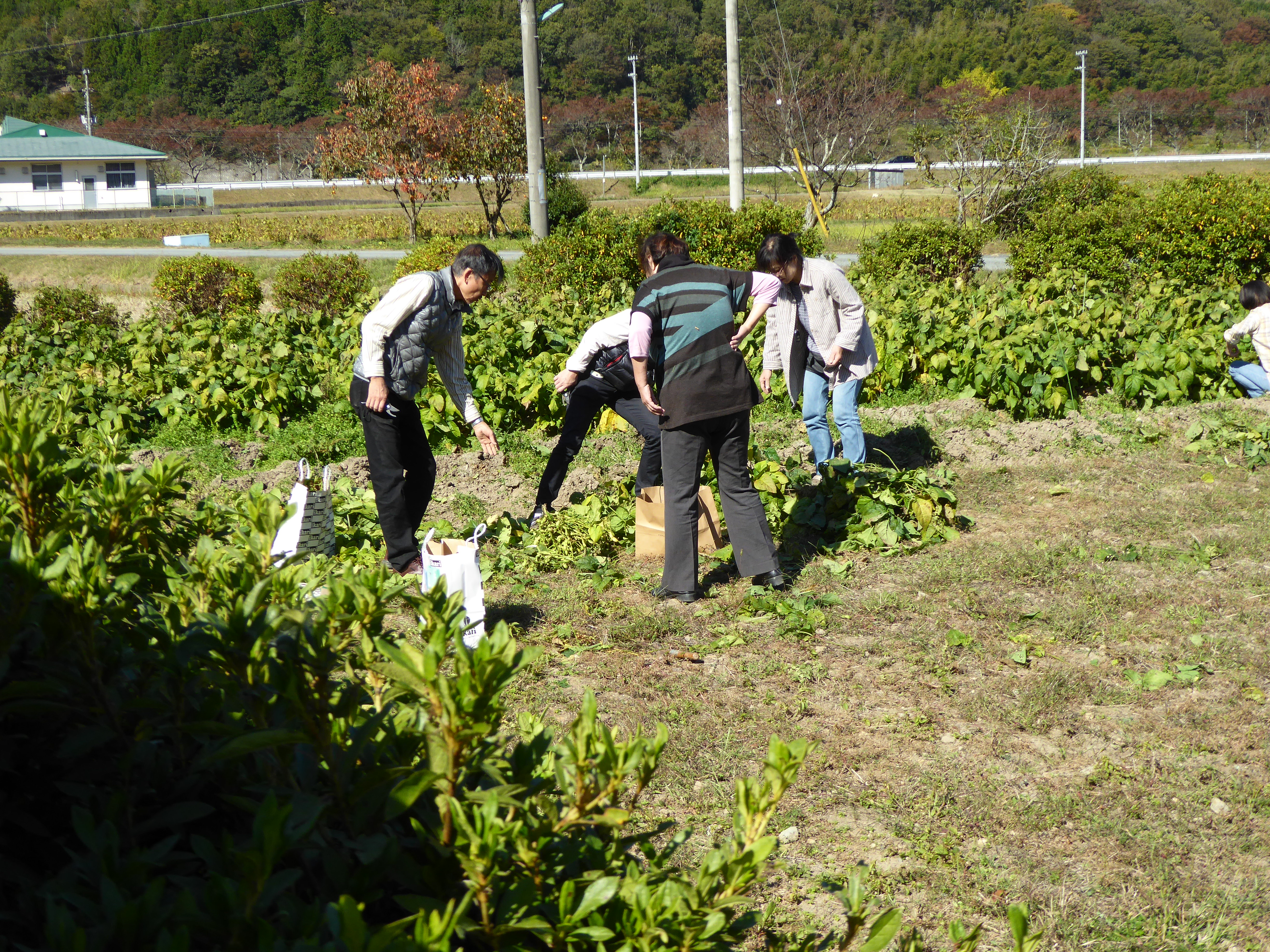 P1040528.JPG