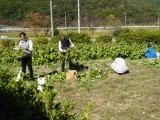 img0010.jpg