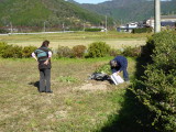 img0011.jpg