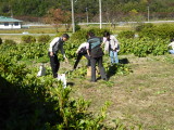 img0015.jpg